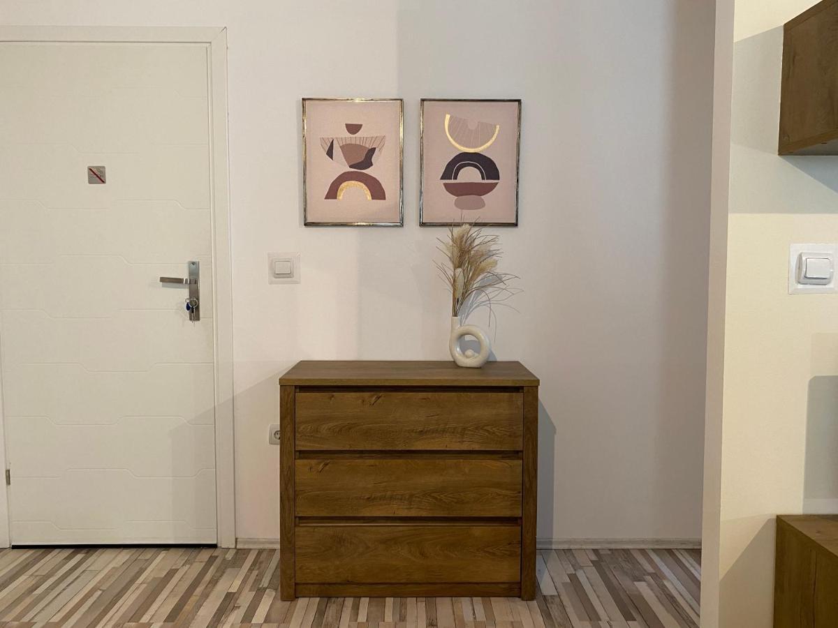 Urseni Studio Apartment Тимишоара Екстериор снимка