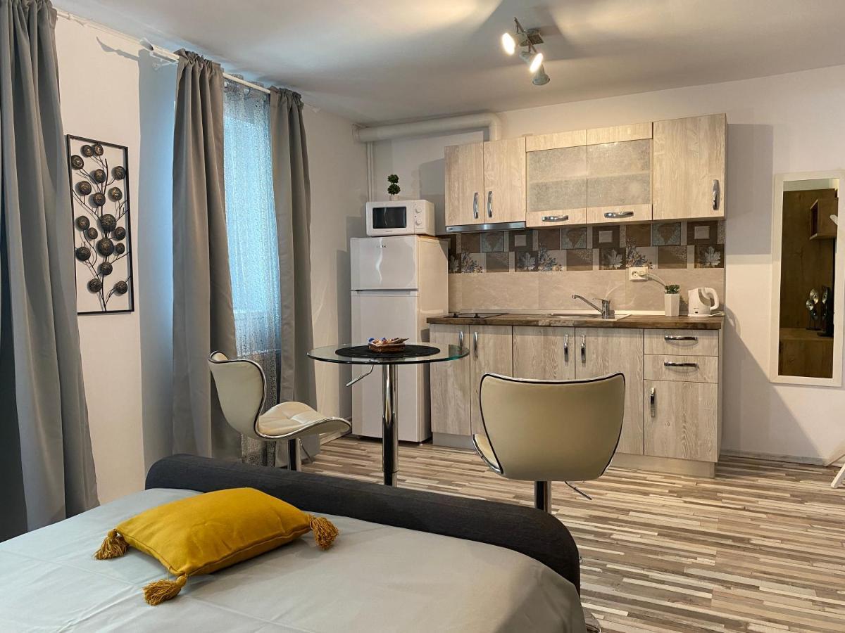 Urseni Studio Apartment Тимишоара Екстериор снимка