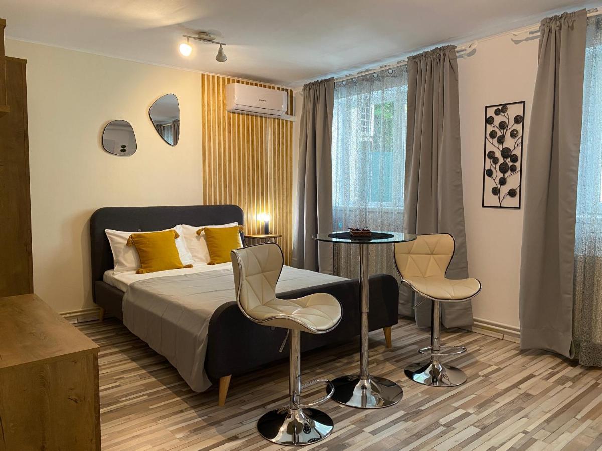 Urseni Studio Apartment Тимишоара Екстериор снимка
