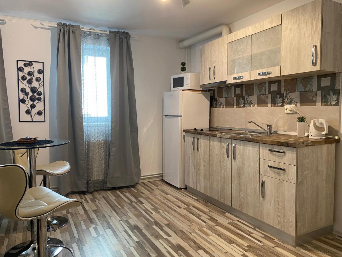Urseni Studio Apartment Тимишоара Екстериор снимка