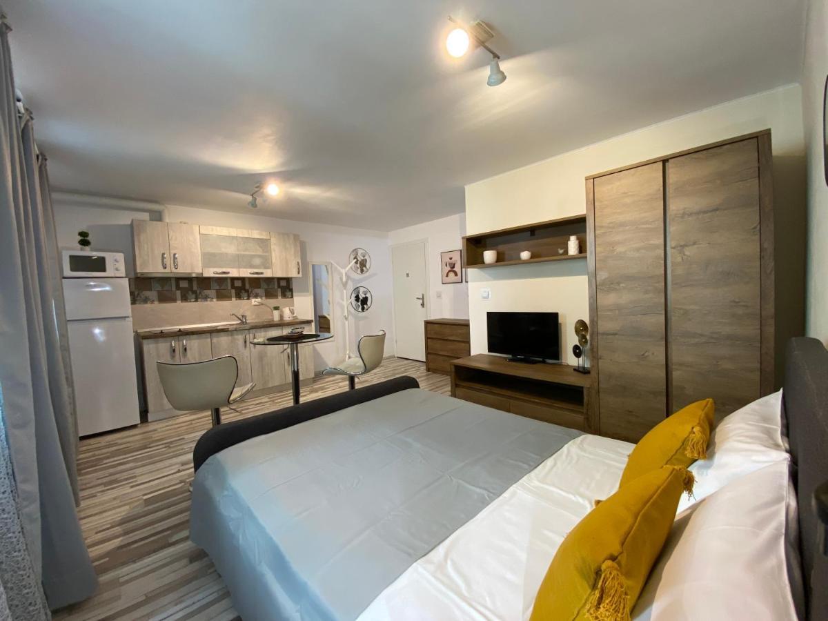 Urseni Studio Apartment Тимишоара Екстериор снимка