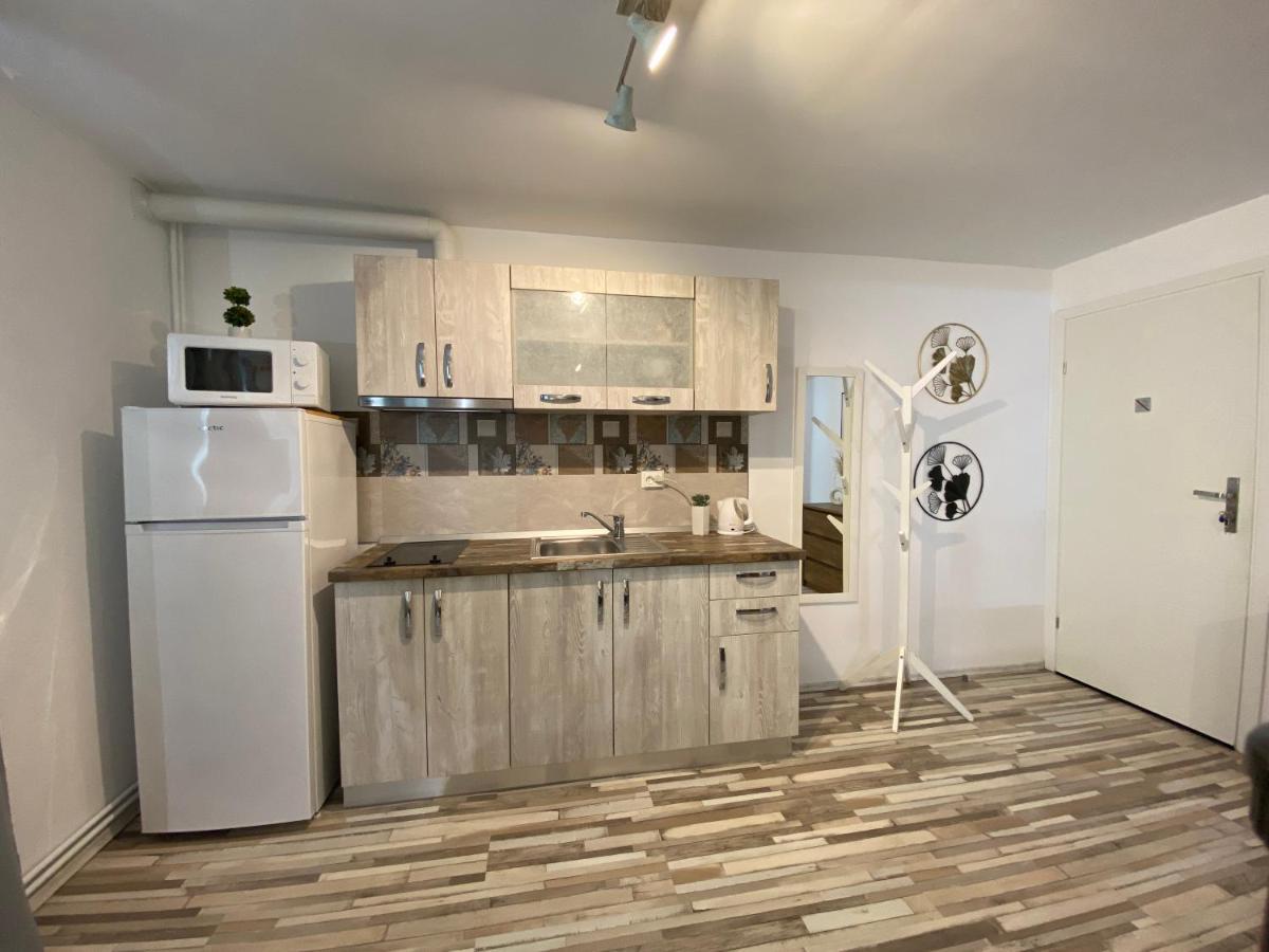 Urseni Studio Apartment Тимишоара Екстериор снимка