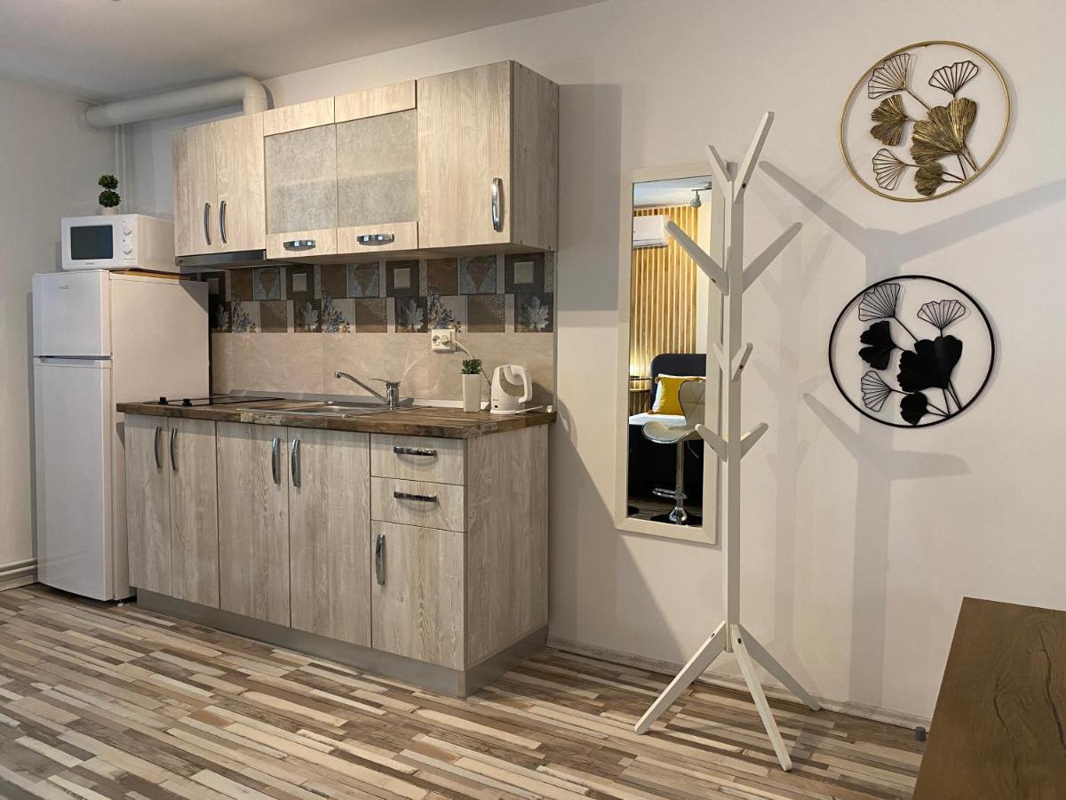 Urseni Studio Apartment Тимишоара Екстериор снимка